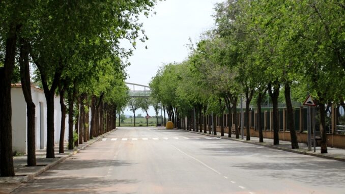 El-porque-de-la-Avenida-del-Deporte-como-enclave-para-conciertos-y-zona-joven