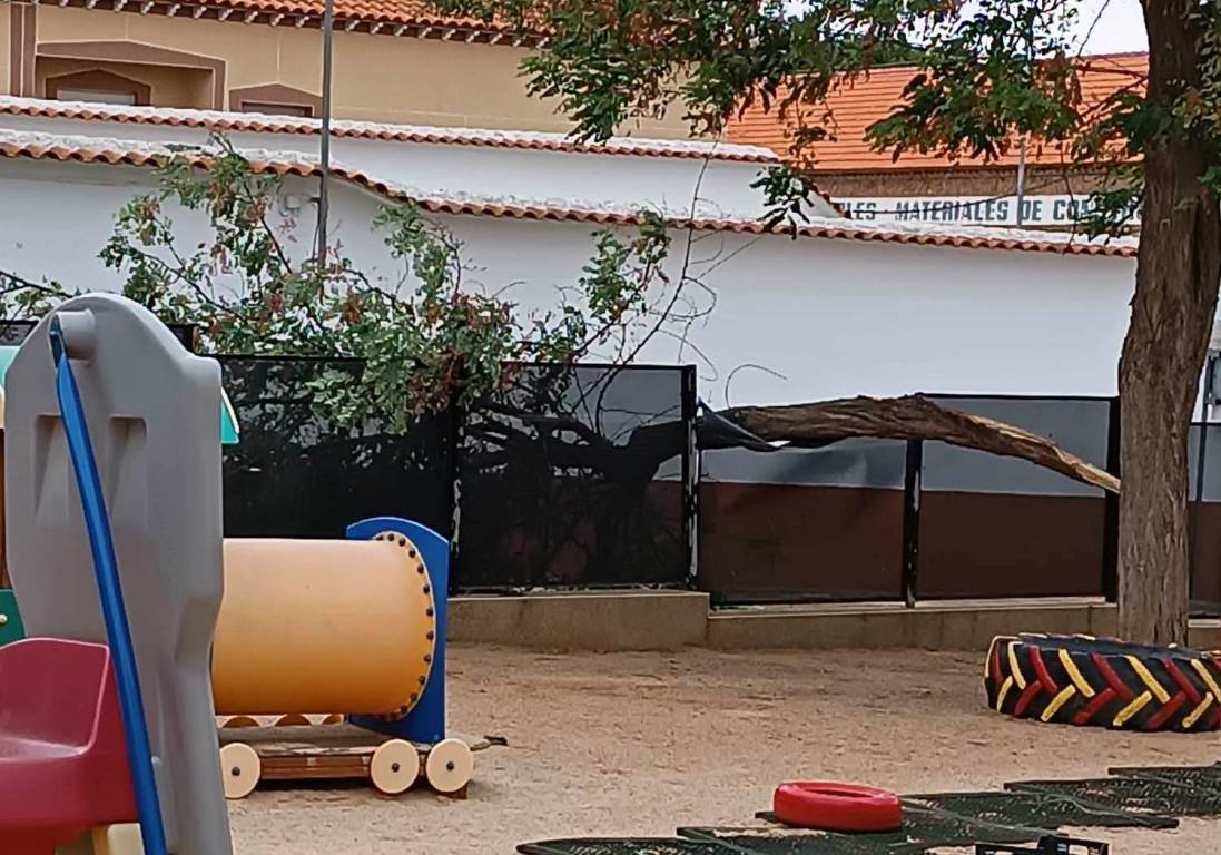 -Árbol caído guardería