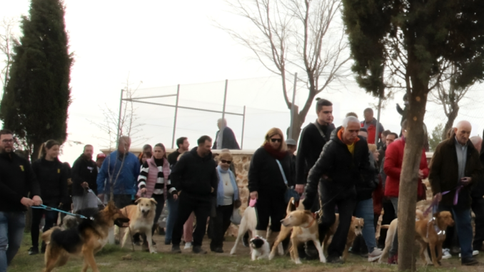 Mucha-gente-y-mas-de-cien-mascotas-en-la-fiesta-de-San-Anton