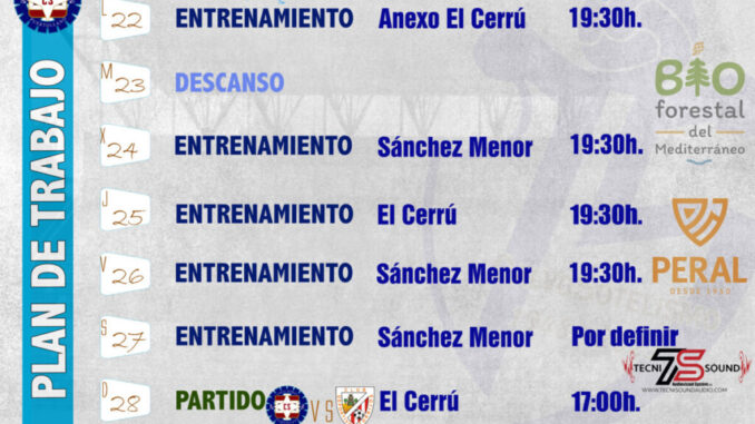 Plan-de-trabajo.-Semana-del-22-28-de-enero