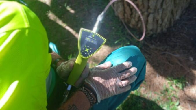 El-area-de-Medio-Ambiente-de-Valdepenas-prioriza-la-endoterapia-en-214-olmos