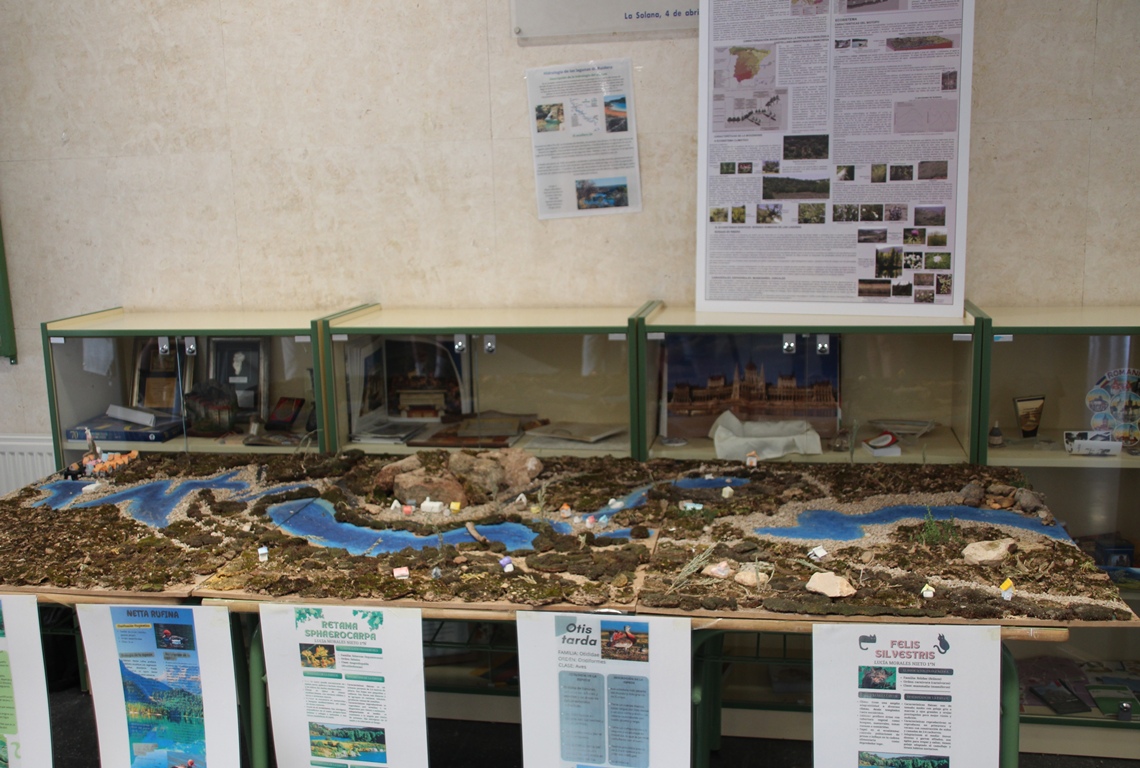 Foto Proyecto Ruidera maqueta - Proyecto Ruidera IES C Campoamor maqueta