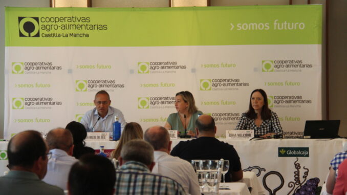 Cooperativas-Agroalimentarias-de-C-LM-celebra-las-Jornadas-Tecnicas-Vitivinicolas-y-la-Asamblea-de-Vendimia-2024-en-Alcazar-de-San-Juan