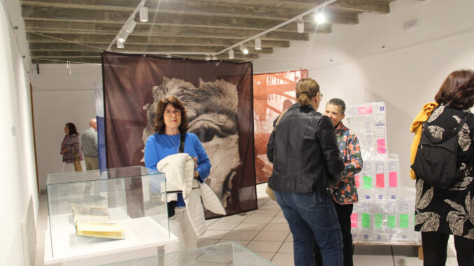 La-exposicion-‘Villacentenos-la-herencia-del-olvido-reune-la-propuesta-artistica-de-13-autores-en-el-Museo-Municipal-de-Alcazar