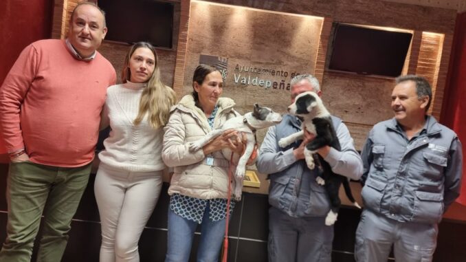 El-Centro-Municipal-Canino-de-Valdepenas-conciencia-en-Navidad-sobre-la-adopcion-responsable