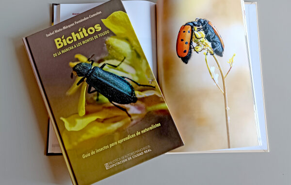 Isabel-Nieto-Marquez-presenta-Bichitos-de-La-Mancha-a-los-Montes-de-Toledo-publicado-por-la-BAM