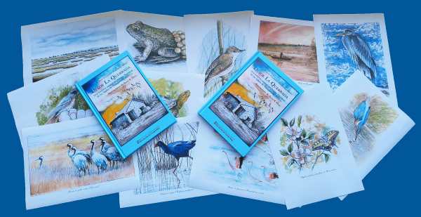 La-BAM-presenta-el-libro-de-Carlos-Villanueva-Desde-La-Quebrada.-Una-historia-natural-del-Parque-Nacional-de-las-Tablas-de-Daimiel-y-su-entorno
