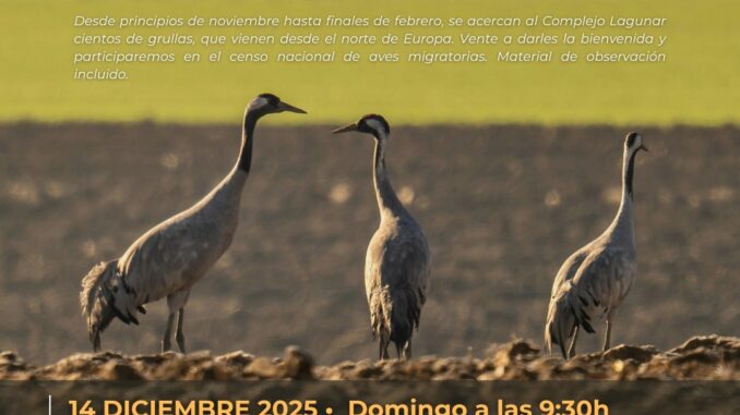 Disfruta-del-otono-en-el-Complejo-Lagunar