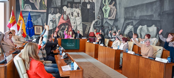 La-Diputacion-reafirma-su-compromiso-con-la-inclusion-dando-voz-a-las-personas-con-discapacidad-en-el-salon-de-Plenos-del-Palacio-Provincial