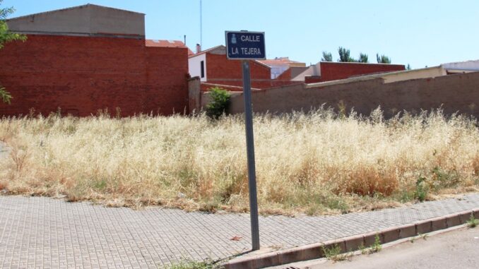 El-Ayuntamiento-activa-una-campana-preventiva-de-limpieza-de-solares-tras-las-lluvias