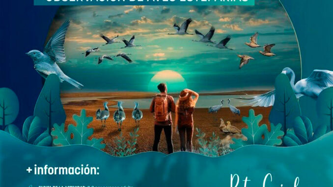Campo-de-Criptana-organiza-nuevas-rutas-guiadas-para-la-observacion-de-aves-esteparias-en-la-Laguna-de-Salicor