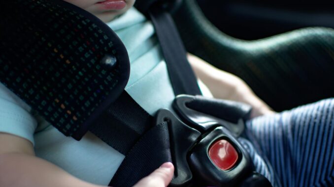 La-Policia-Local-anuncia-una-campana-de-control-de-cinturon-y-sillitas-infantiles