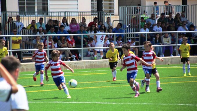 El-futbol-base-reunio-talento-y-convivencia-en-el-torneo-nacional-del-CF-La-Solana