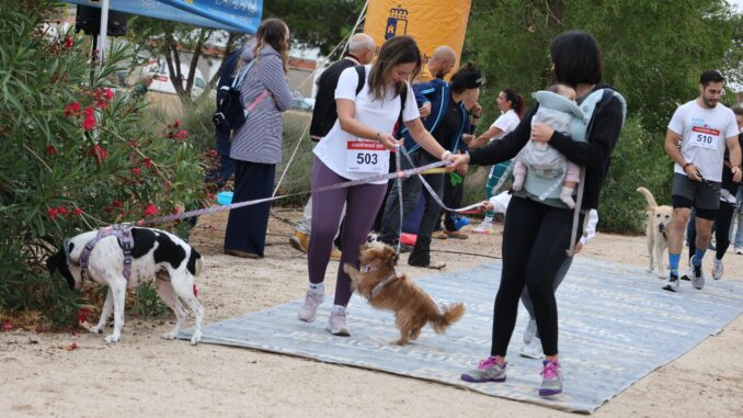Deporte-y-proteccion-animal-se-unen-en-una-nueva-edicion-del-Canicross-Solidario-de-Alcazar-de-San-Juan