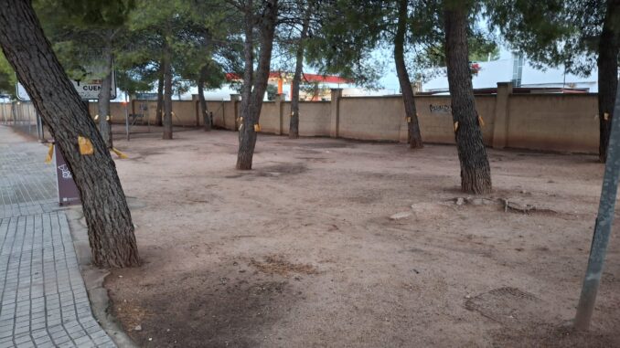 Los-pinos-de-Alcazar-de-San-Juan-reciben-un-tratamiento-preventivo-de-procesionaria